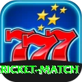 all cricket match VIP Edition v3.3.7
