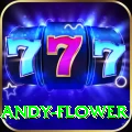 andy flower Max Pro v5.3.4