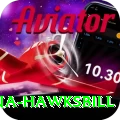antigua hawksbill VIP v3.4.3