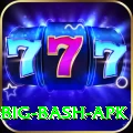 bbl big bash apk Pro Edition v5.9.6