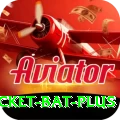 cricket bat Money Master v2.4.2
