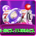 dhampus rice terrace Premium v4.0.5