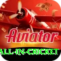 fastest ball in cricket Premium Edition v4.9.6