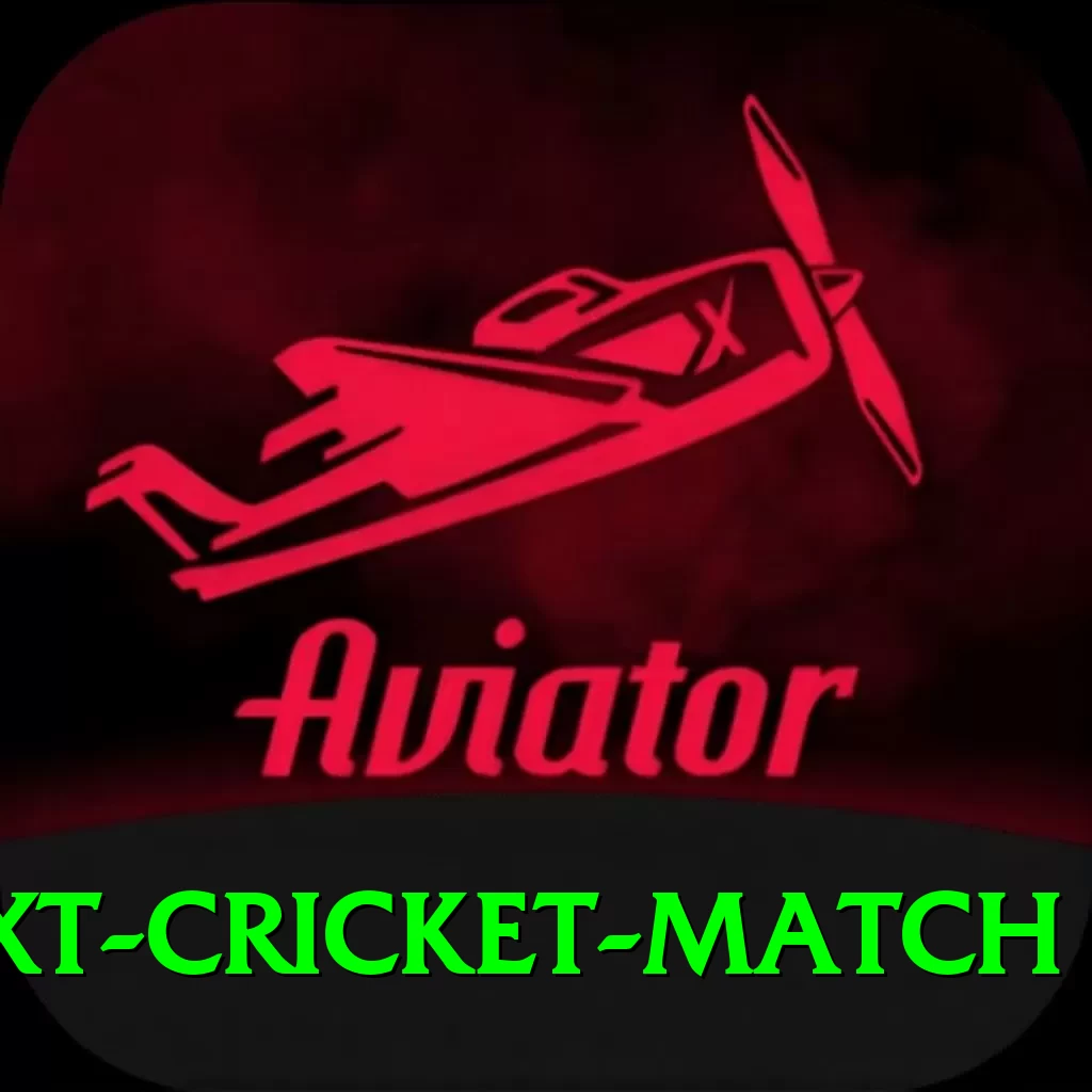 india next cricket match Deluxe Edition v1.2.7 - 2