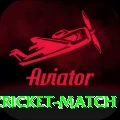 india next cricket match Deluxe Edition v1.2.7