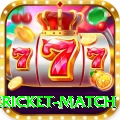 international cricket match Pro1 v5.0.3