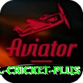 international cricket Plus APK v4.0.6