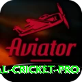 international cricket Jackpot Extreme v2.3.7