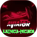 lungi ngidi Pro v2.3.7