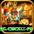make money betting cricket pk Plus Pro v2.1.1