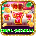 morne morkel Premium v2.9.4