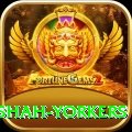 naseem shah yorkers Turbo Pro v1.6.7