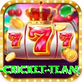 new zealand cricket team Gold Pro v2.7.6