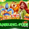 online gambling Pro Gaming App