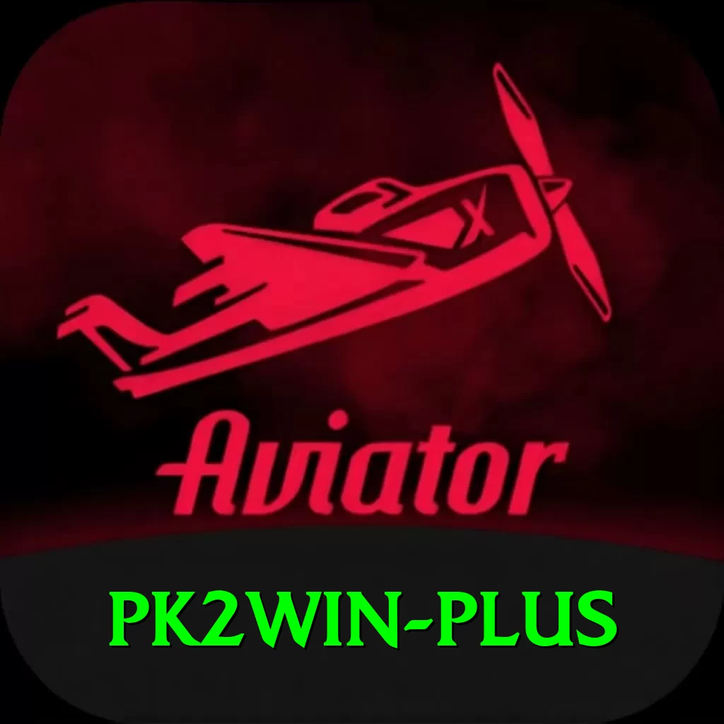 pk2win Pro1 v2.8.8 - 2