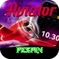 pkspin Deluxe Pro vv4.2.0