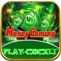play cricket Ultimate Pro v1.3.0