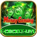 smart cricket live Apps (Tools & Injectors) Turbo v1.4.4