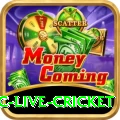 smartcric live cricket Plus v4.5.6
