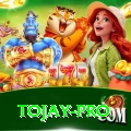 tojay Games (Casino & Earning) Elite v4.8.5