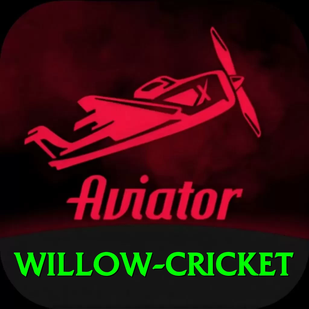 willow cricket Deluxe Edition v1.7.3 - 2