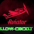 willow cricket Deluxe Edition v1.7.3