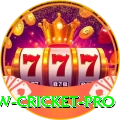willow cricket Casino Official v2.3.3